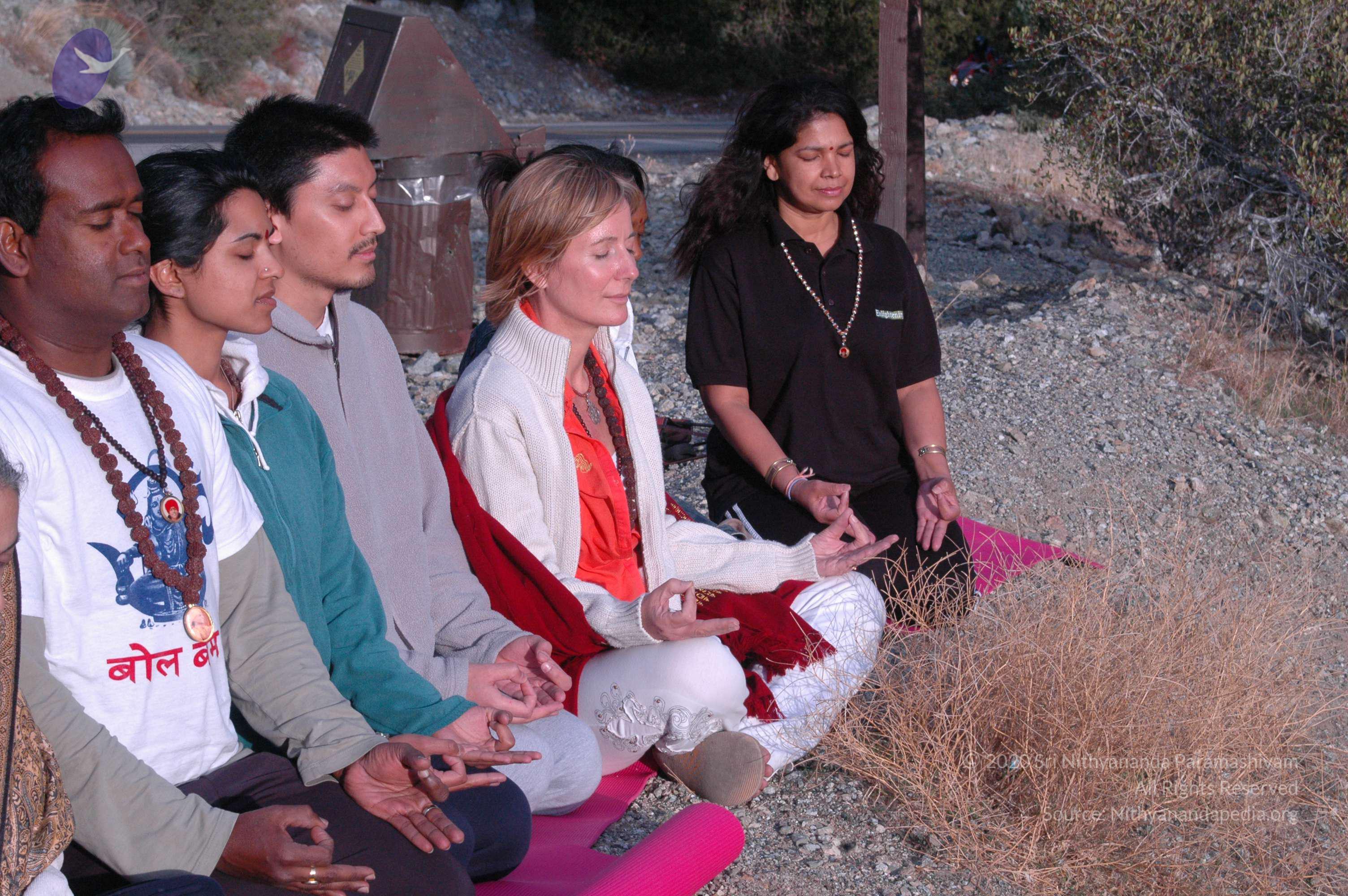 24November2008_NYT_Los_Angeles_ 36_CMP_WM